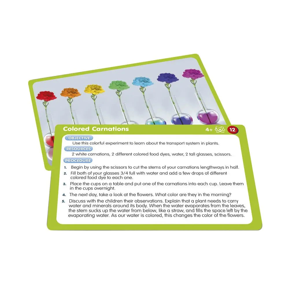 50 STEM Activities | The Dyslexia Shop