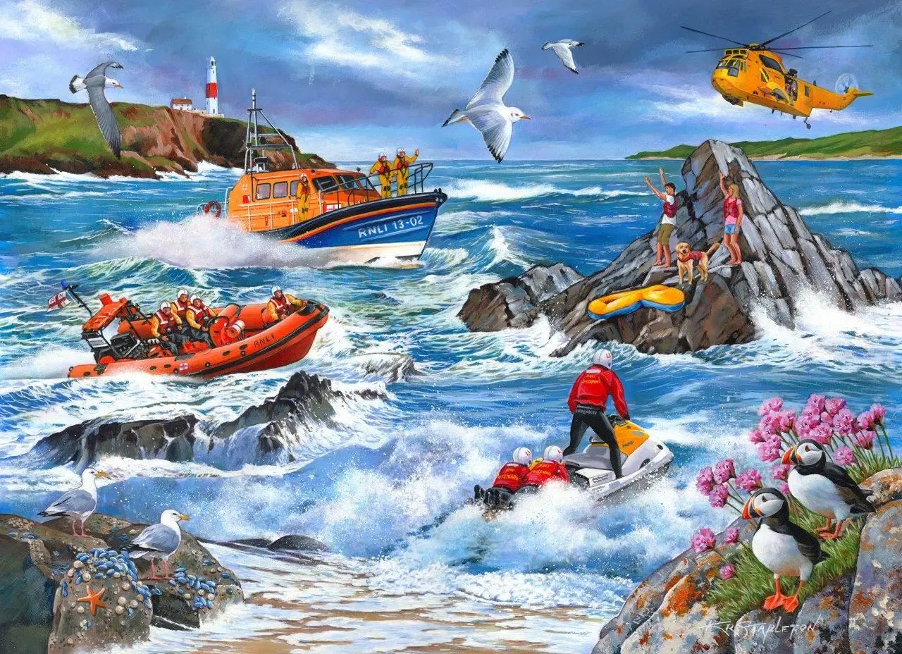 Against The Tide 1000 Piece Puzzle | The Dyslexia Shop
