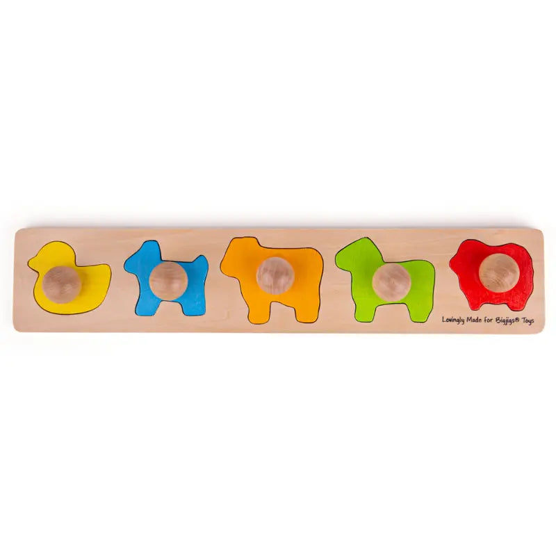 Animal Matching Board | The Dyslexia Shop