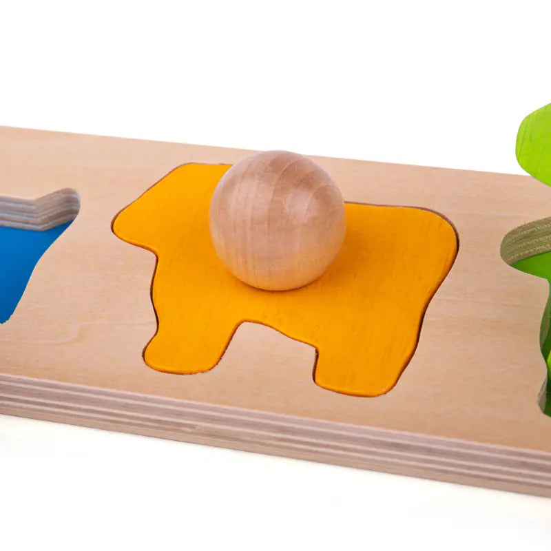 Animal Matching Board | The Dyslexia Shop