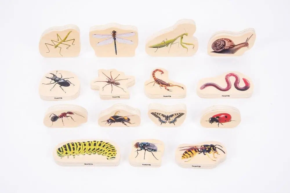 Discovery Jurassic bundle | The Dyslexia Shop