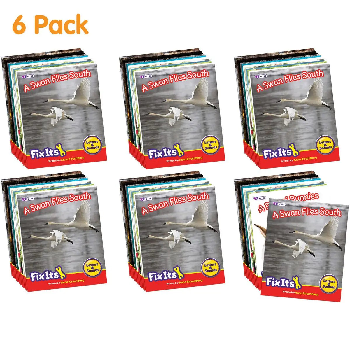 Fix Its Suffixes Non-Fiction Phase 6 - 6 pack | The Dyslexia Shop