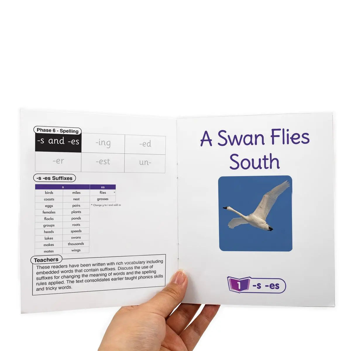 Fix Its Suffixes Non-Fiction Phase 6 - 6 pack | The Dyslexia Shop