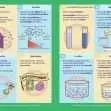 GCSE/KS4 Biology: Osmosis - Topic Pack | The Dyslexia Shop