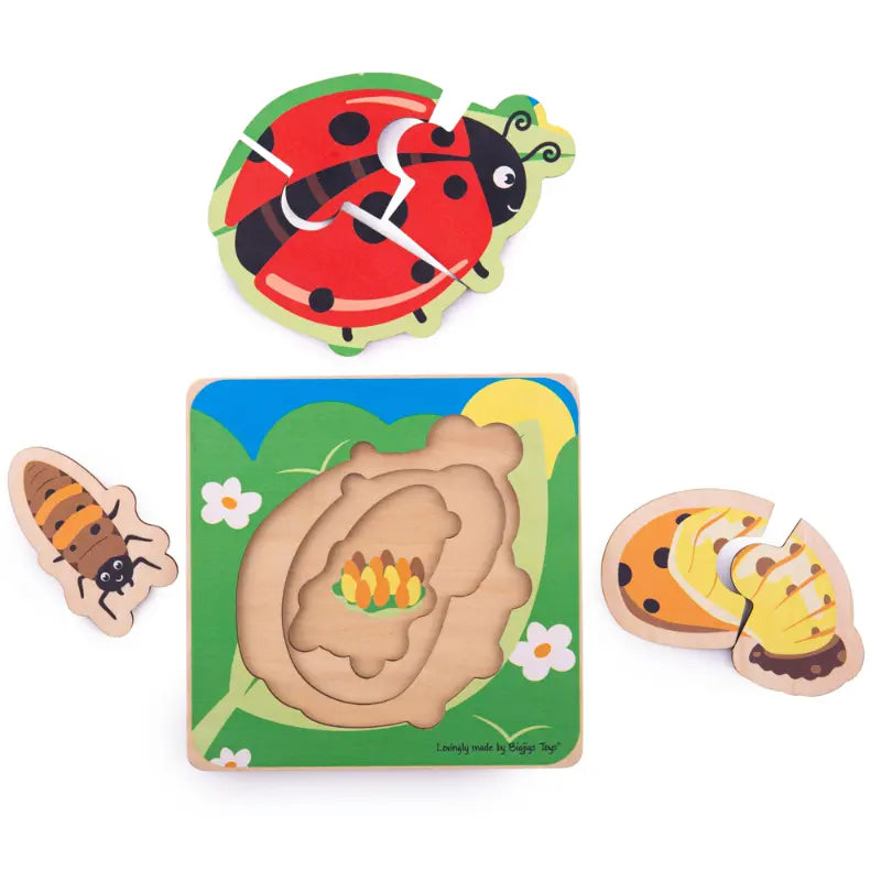 Lifecycle Layer Puzzle - Ladybug | The Dyslexia Shop