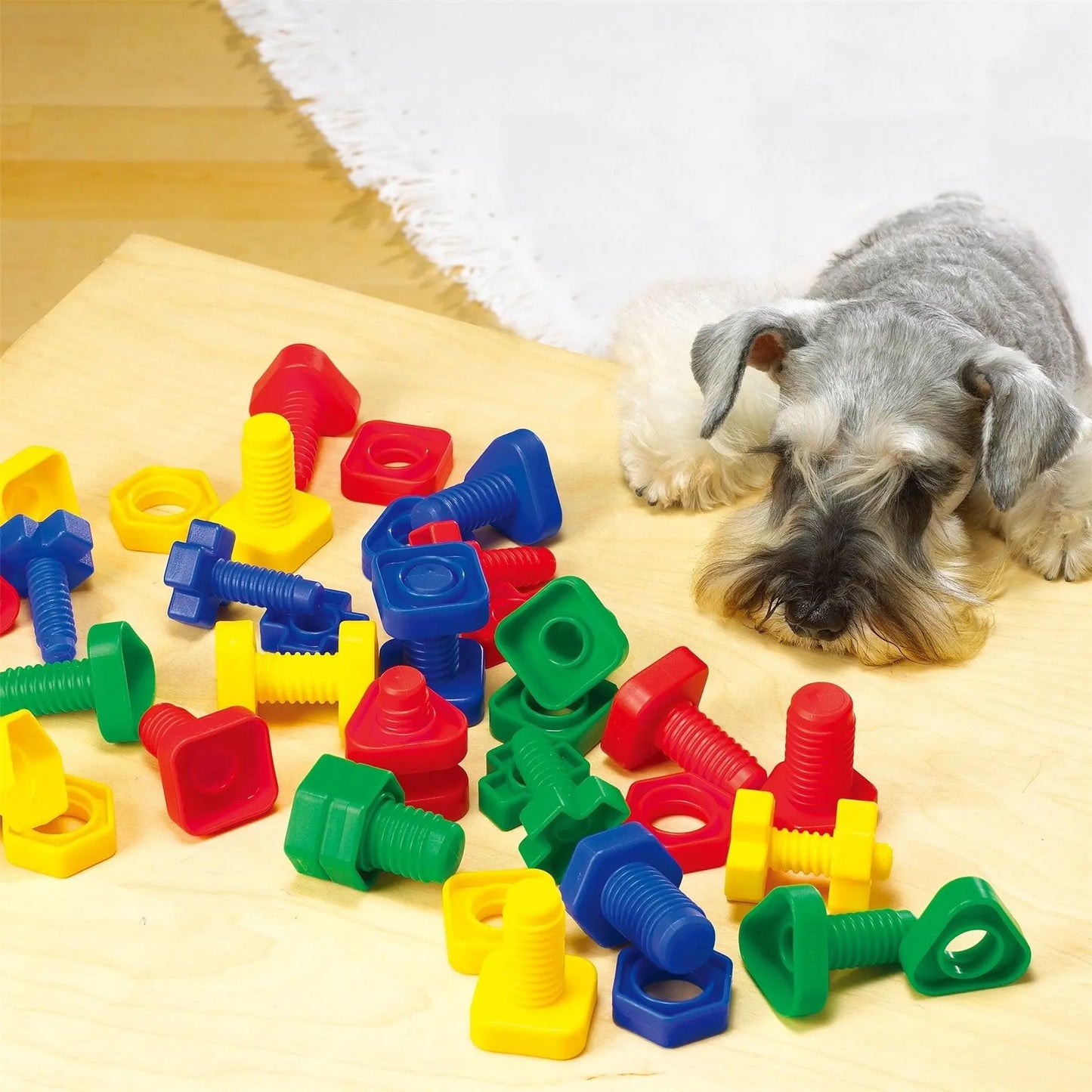 Nuts and Bolts | The Dyslexia Shop