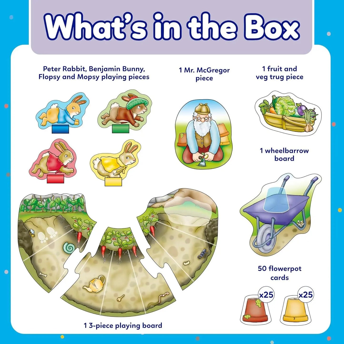 Peter Rabbit™ Rabbit Race | The Dyslexia Shop