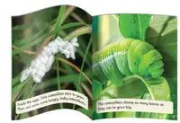 Science Decodables Phase 6 Non-Fiction - 6 Pack | The Dyslexia Shop