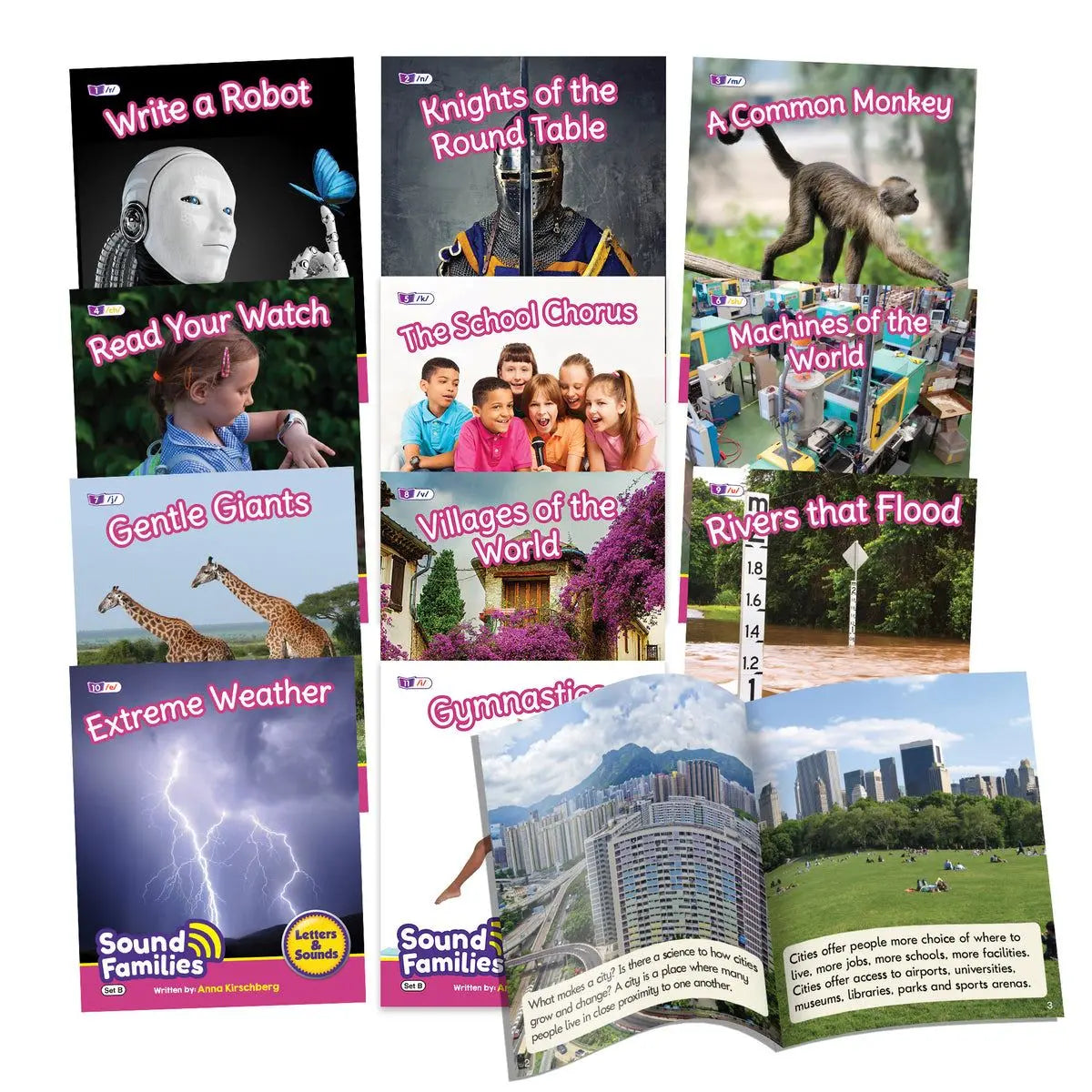 Sound Families Consonants Non-Fiction Phase 5.5 | The Dyslexia Shop