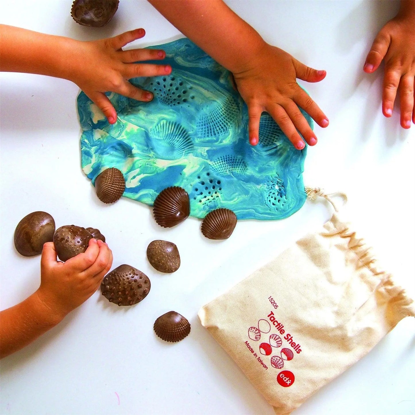 Tactile Shells | The Dyslexia Shop