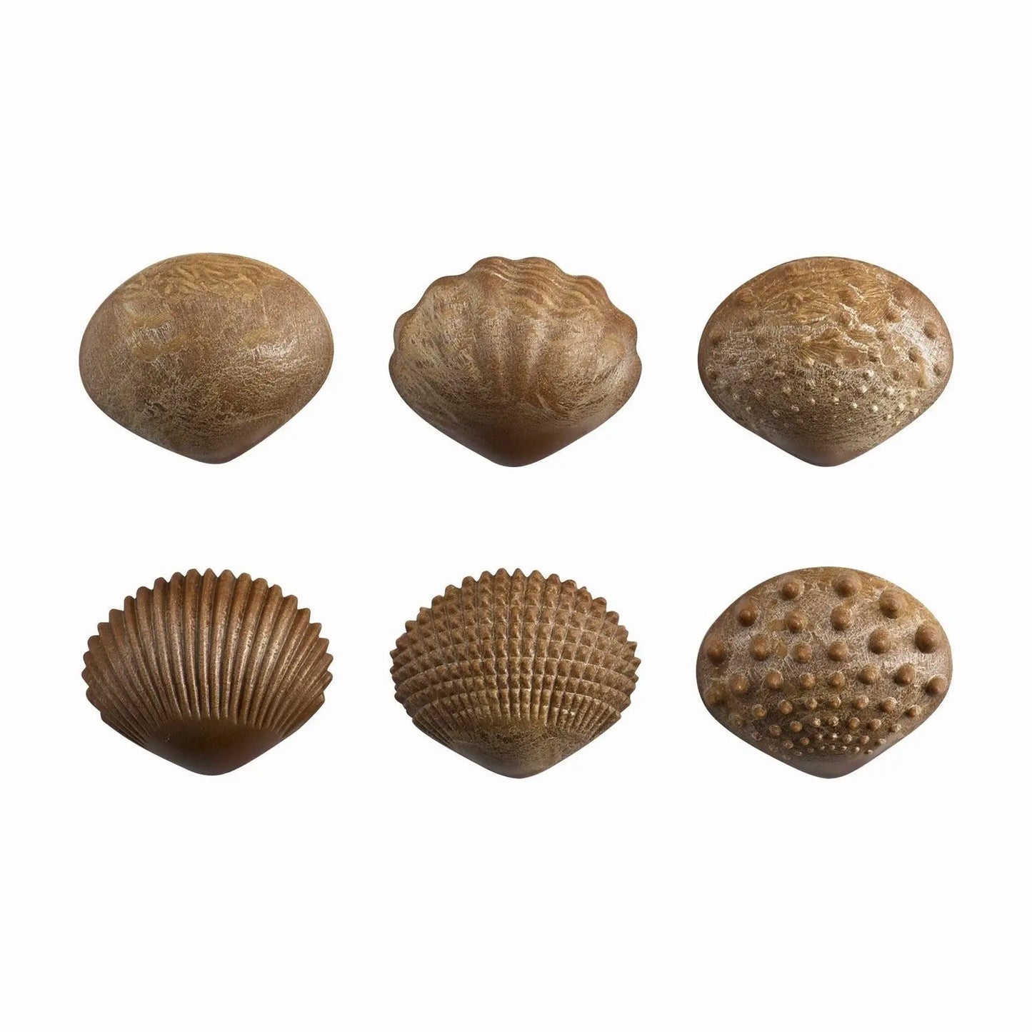 Tactile Shells | The Dyslexia Shop