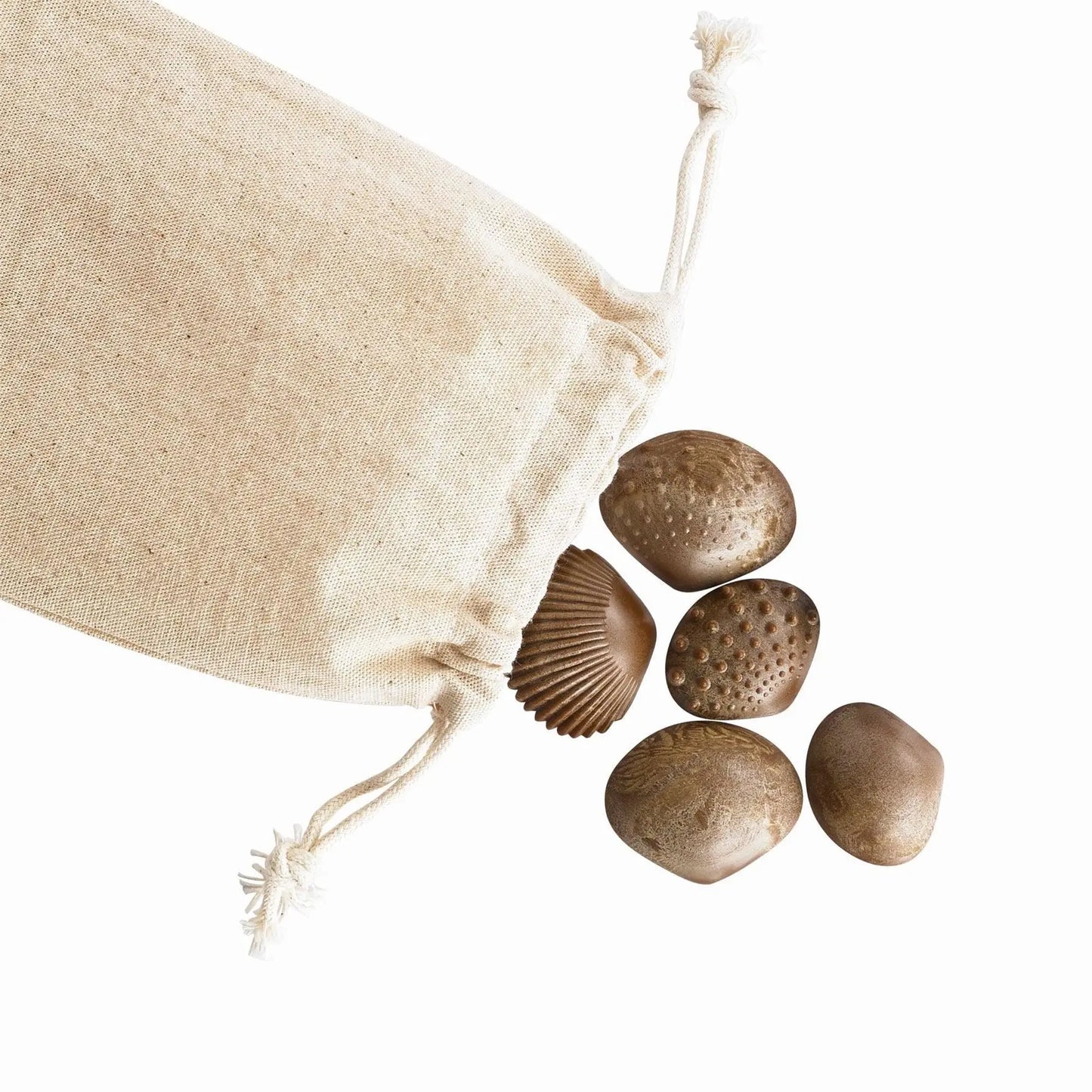 Tactile Shells | The Dyslexia Shop