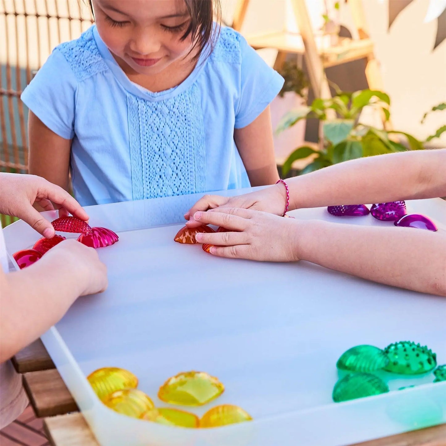 Transparent Tactile Shells | The Dyslexia Shop