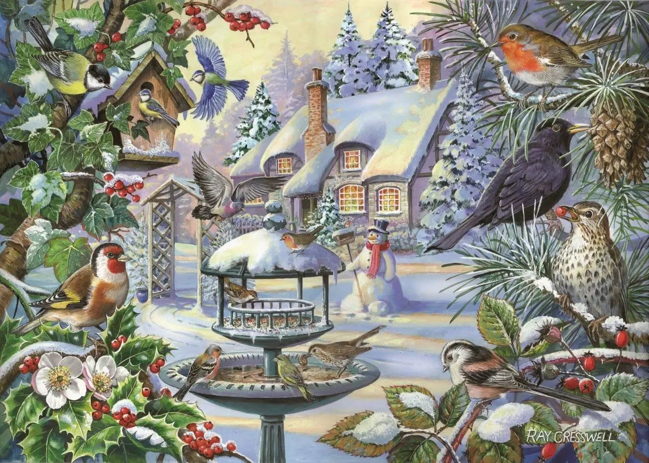 Winter Birds BIG 500 Puzzle | The Dyslexia Shop