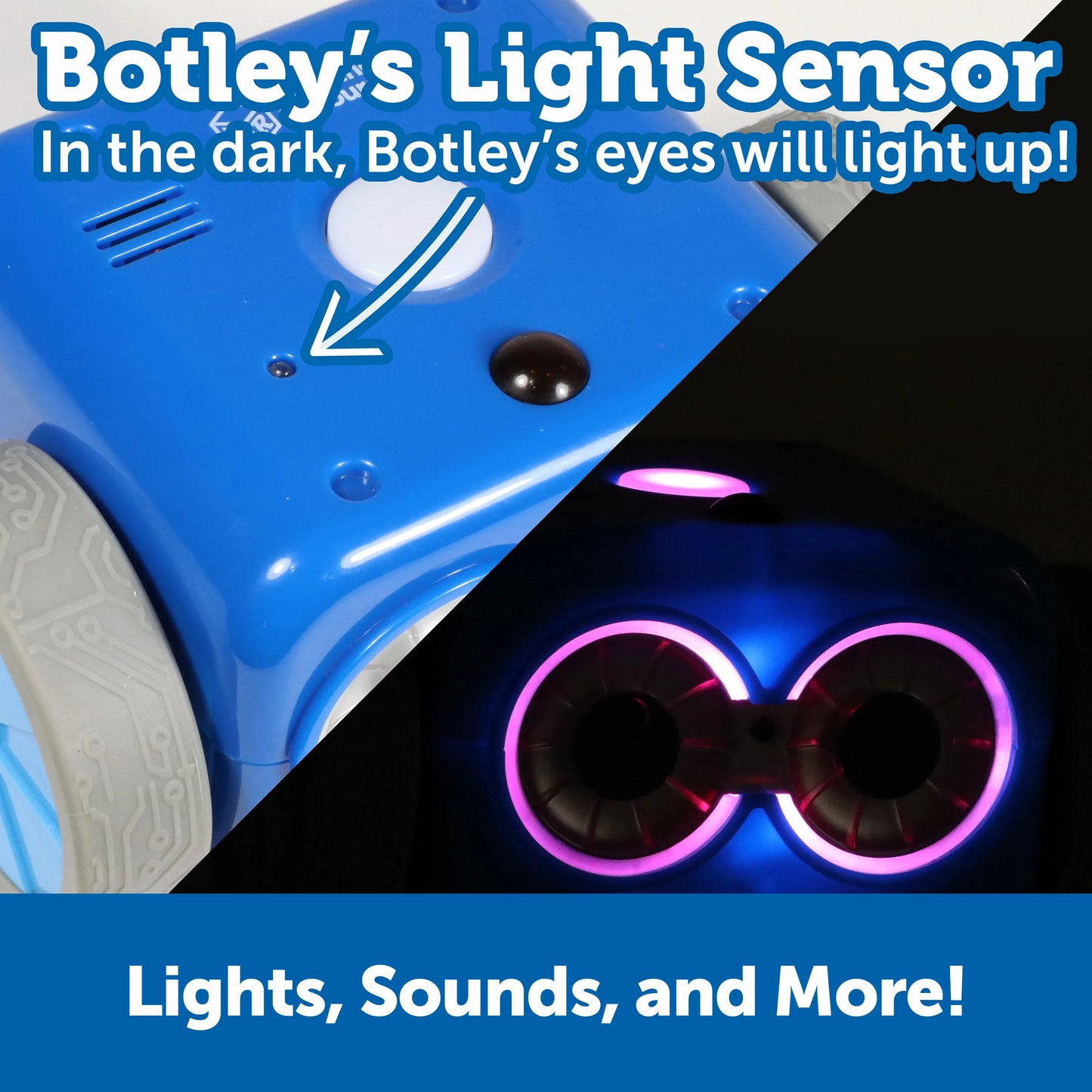 Botley® 2.0