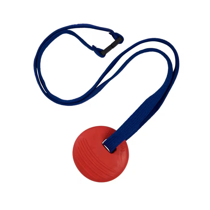 Chewbuddy™ Disc - Twin Pack