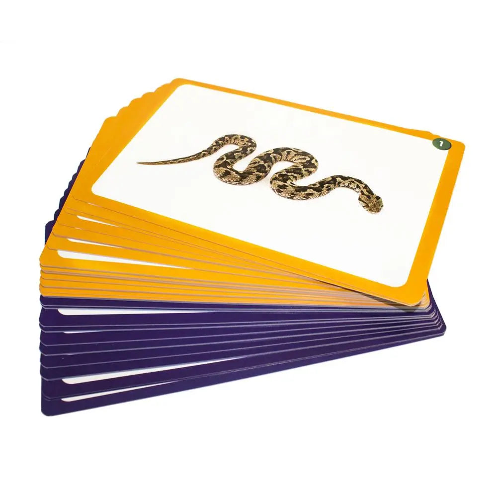 44 Sound Cards | The Dyslexia Shop