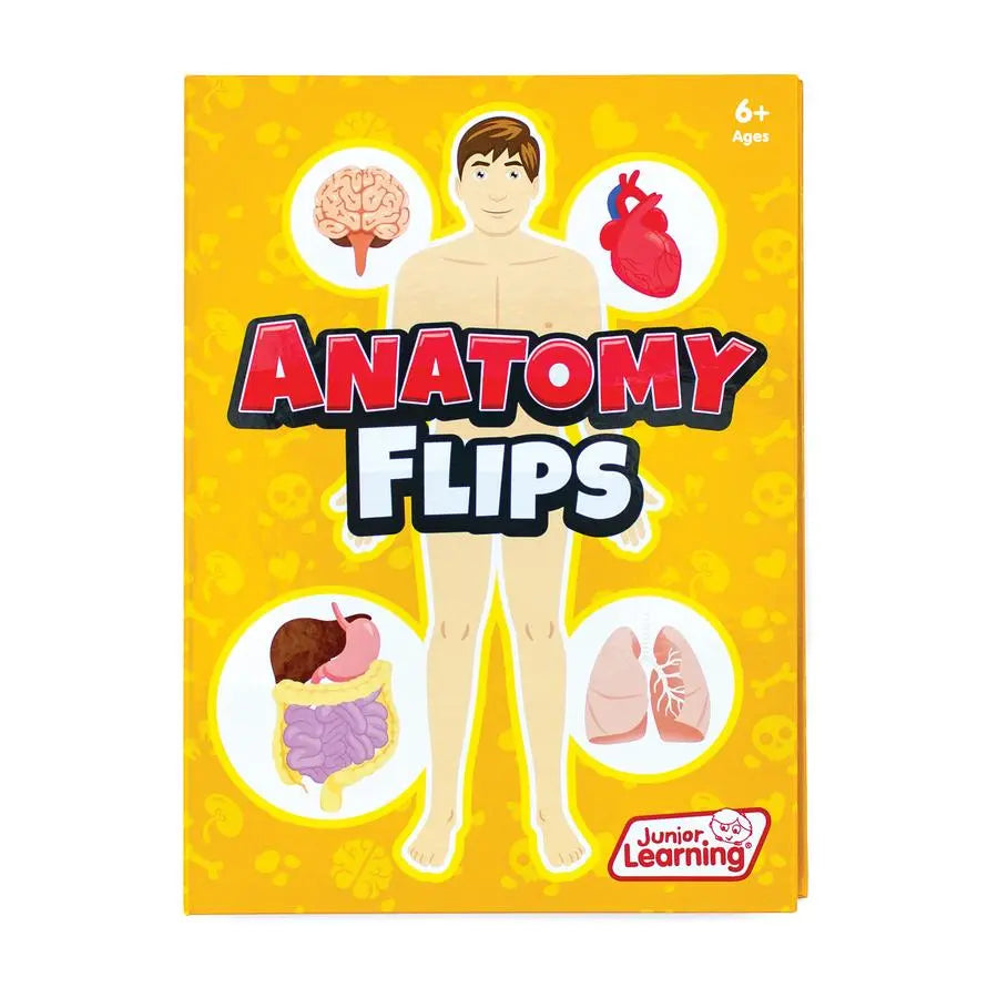 Anatomy Flips | The Dyslexia Shop
