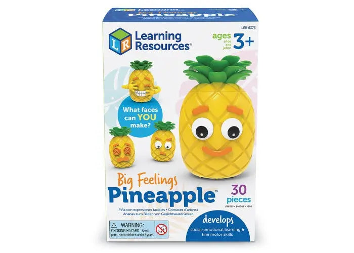 Big Feelings Pineapple™ | The Dyslexia Shop