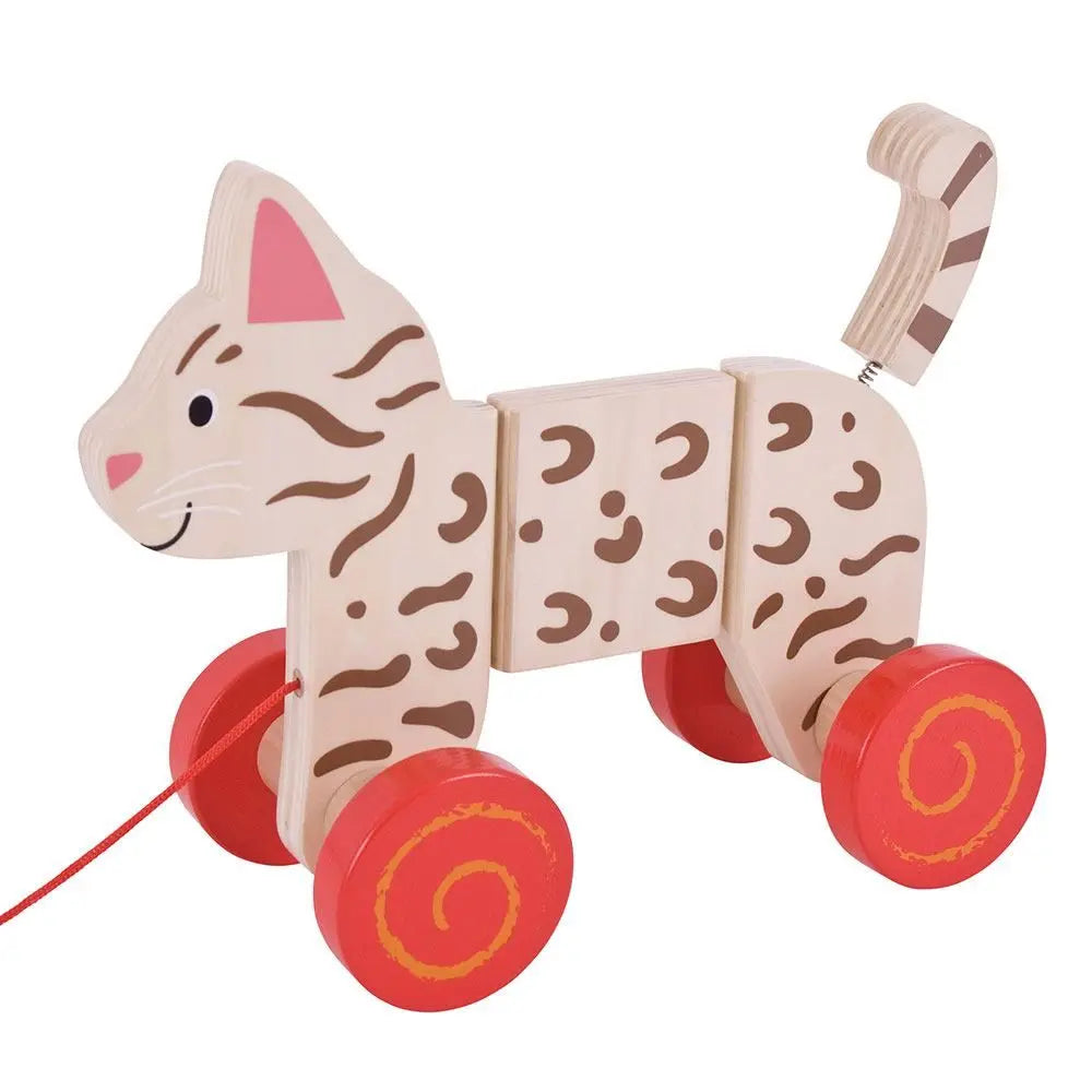 Cat Pull Along | The Dyslexia Shop