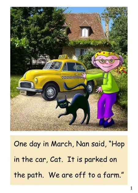 Dandelion Readers, Level 2 ‘Viv Wails’ | The Dyslexia Shop