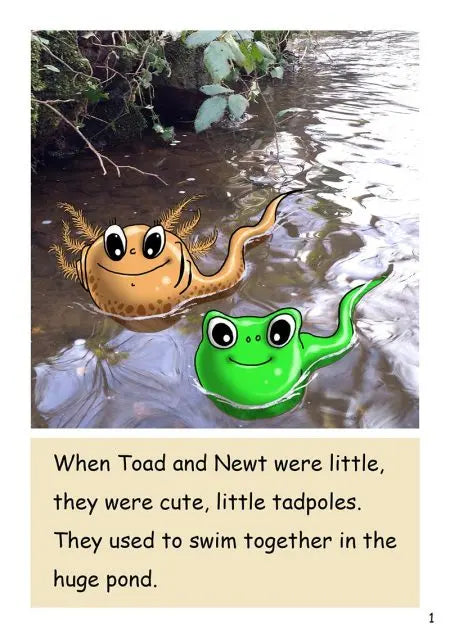 Dandelion Readers: Toad and Newt Books 1-14 | The Dyslexia Shop
