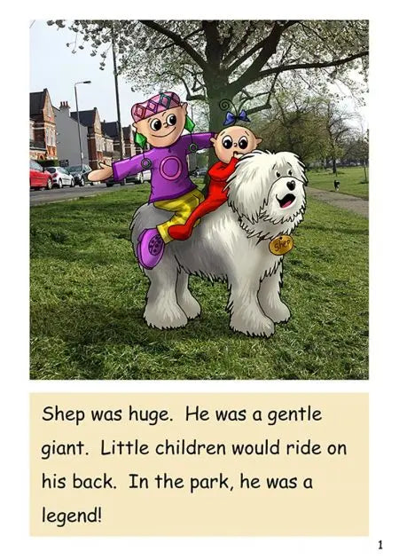 Dandelion Readers: Toad and Newt Books 1-14 | The Dyslexia Shop