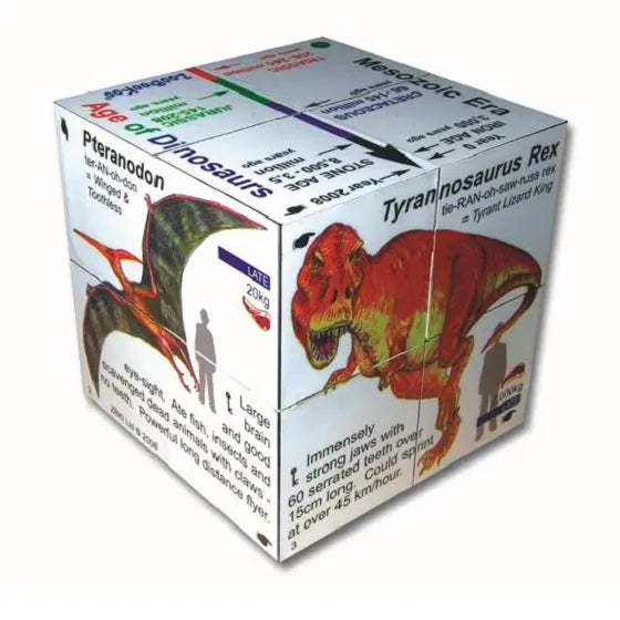 Dinosaurs Learning Cube Book | The Dyslexia Shop