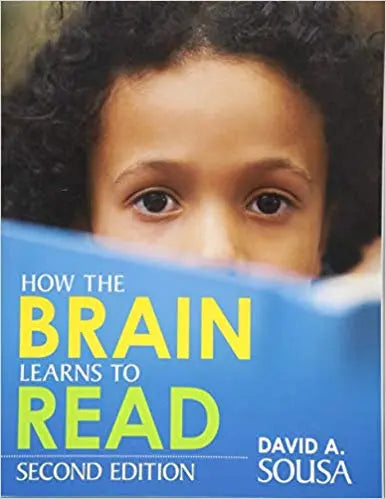 How the Brain Learns to Read | The Dyslexia Shop