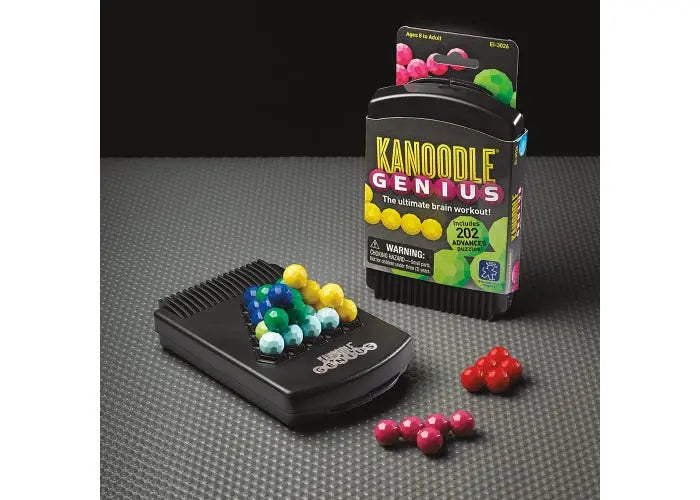 Kanoodle® Genius Game | The Dyslexia Shop