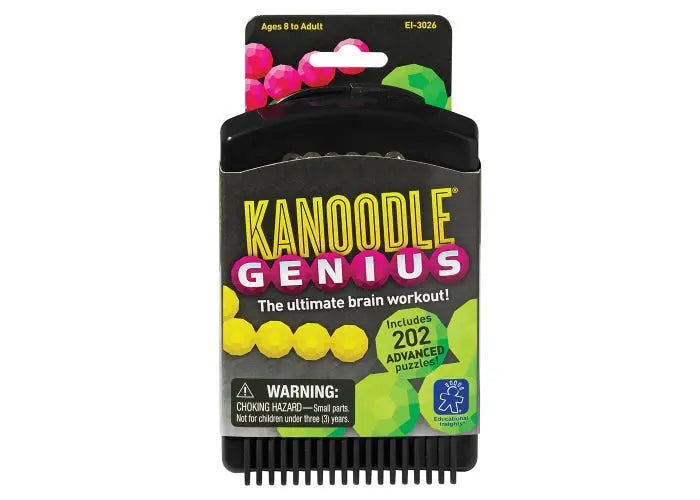 Kanoodle® Genius Game | The Dyslexia Shop