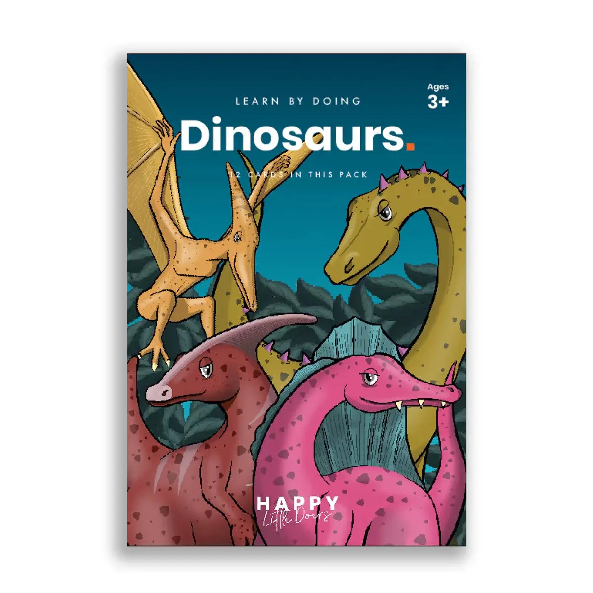 Learn Dinosaurs Flash Cards - Pack Of 12 - Happy Little Doers | The Dyslexia Shop