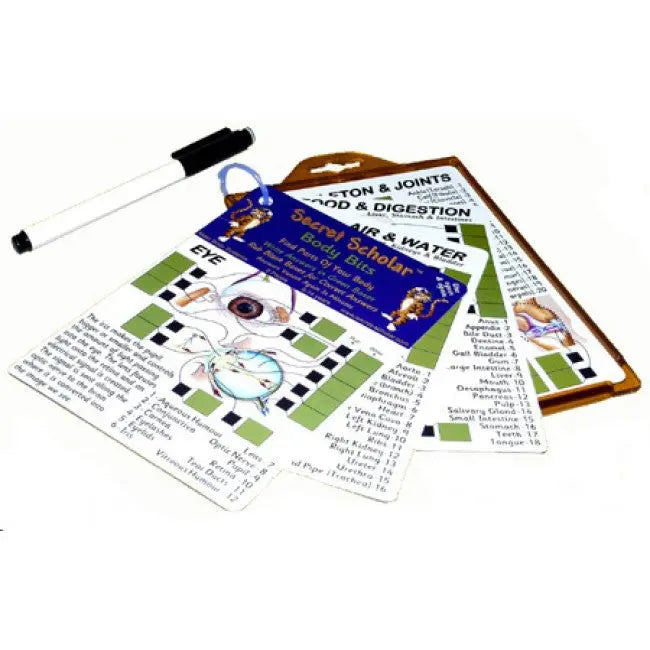 Secret Scholar - Body Bits | The Dyslexia Shop