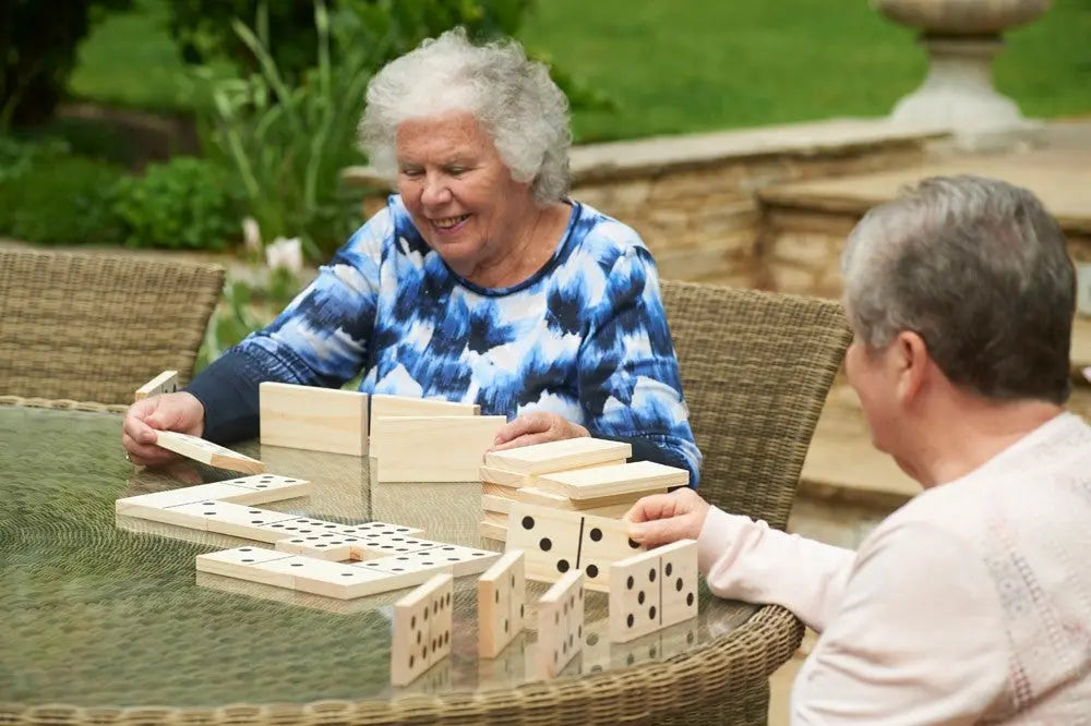 Wooden Dominoes - Pk 28 | The Dyslexia Shop