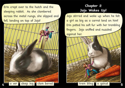 Rescue Series (Set of 10 books) Alternative Vowel Spelling