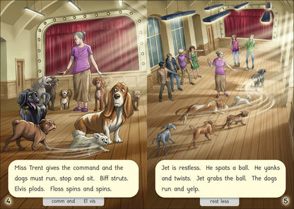 That Dog! Series (Set of 12 books) Adjacent consonants and consonant digraphs