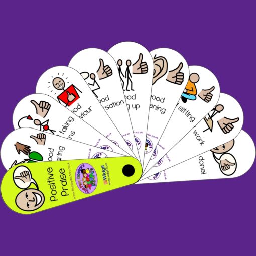Positive Praise Fan – Encouraging Behaviour & Confidence for Kids
