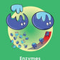 GCSE/KS4 Biology: Enzymes - Topic Pack