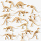 Fascinating Dinosaur Fossils
