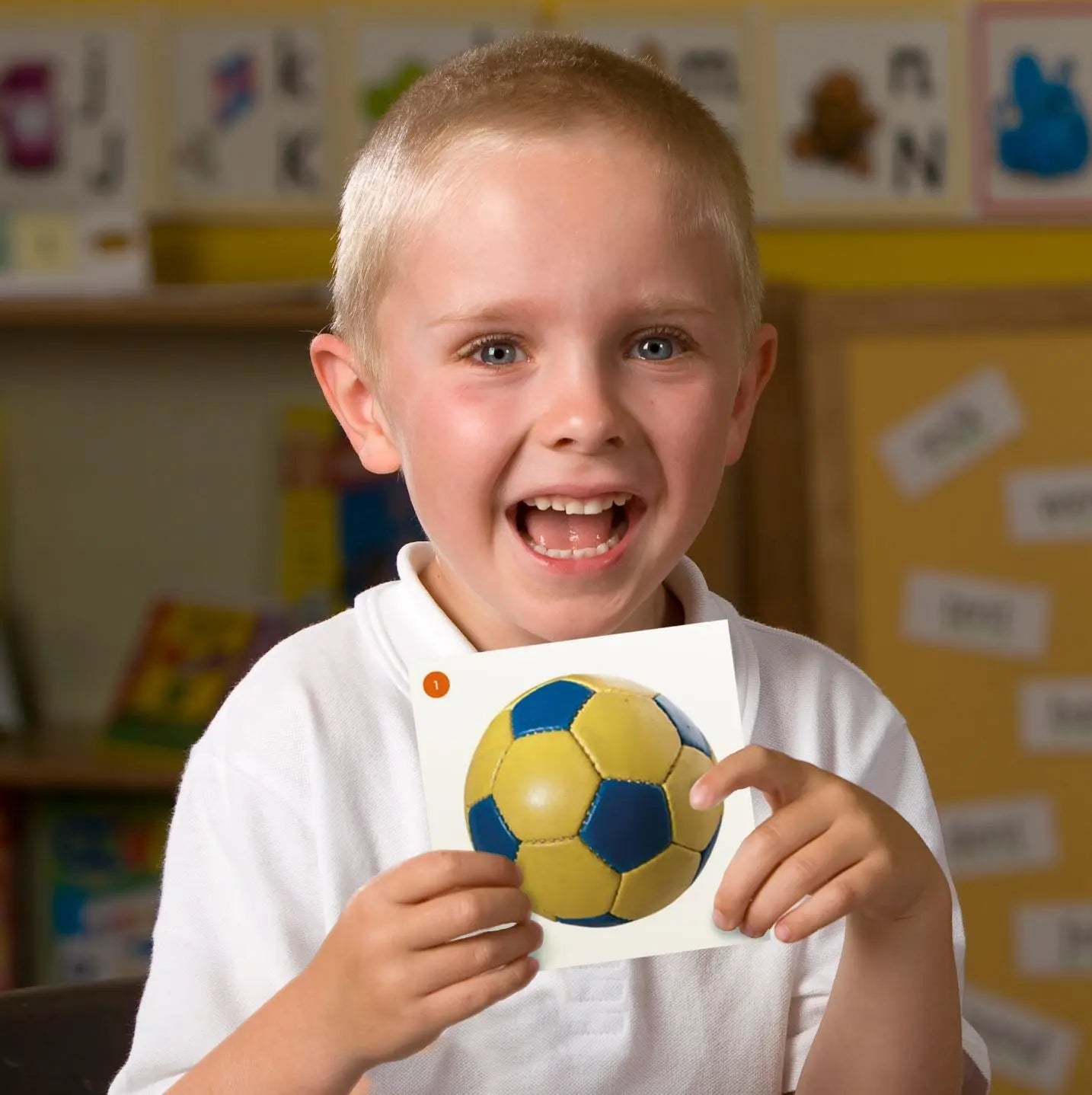 44 Sounds Alternative Spellings Cards | The Dyslexia Shop