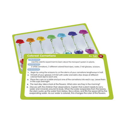 50 STEM Activities | The Dyslexia Shop