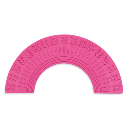 ARK Chewable Rainbow Fidget