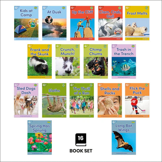 Dandelion World Stages 8-15