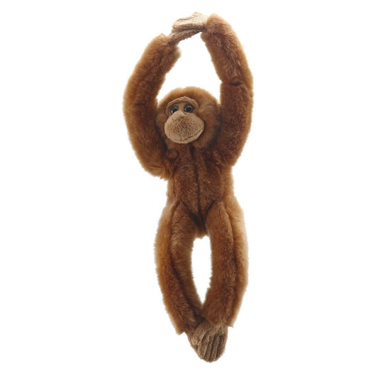Orangutan – Canopy Climbers