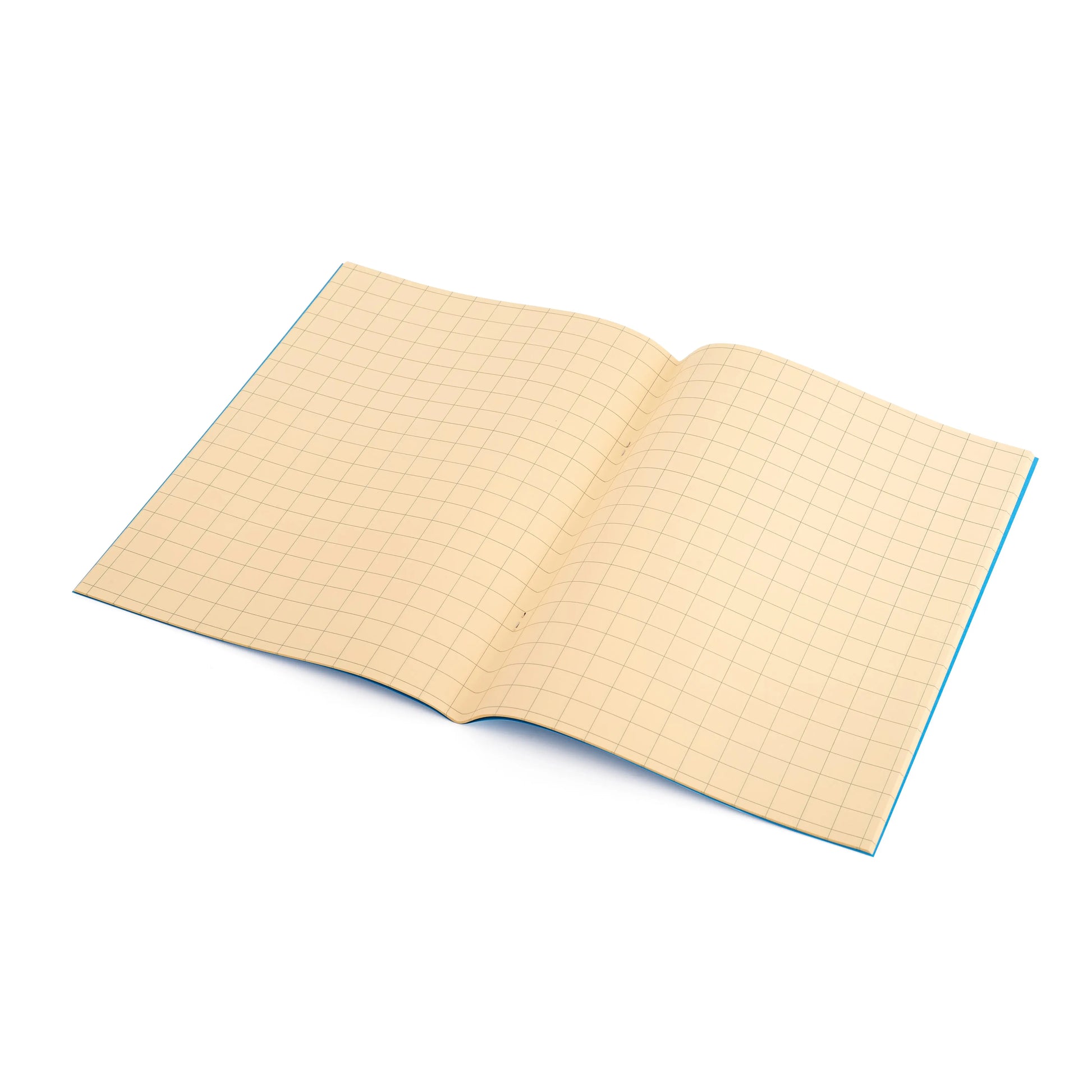 A4 - 15mm Squared Tinted Exercise Book | The Dyslexia Shop