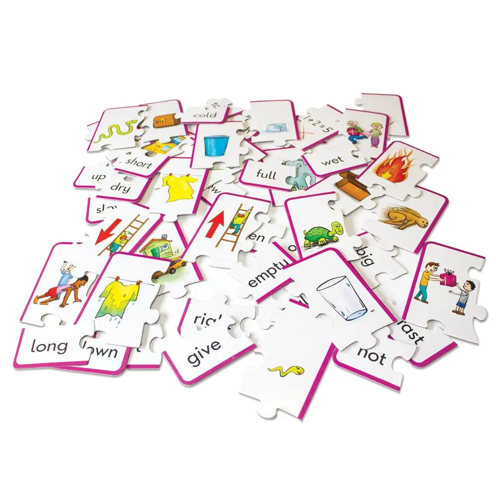 Antonym Puzzles | The Dyslexia Shop