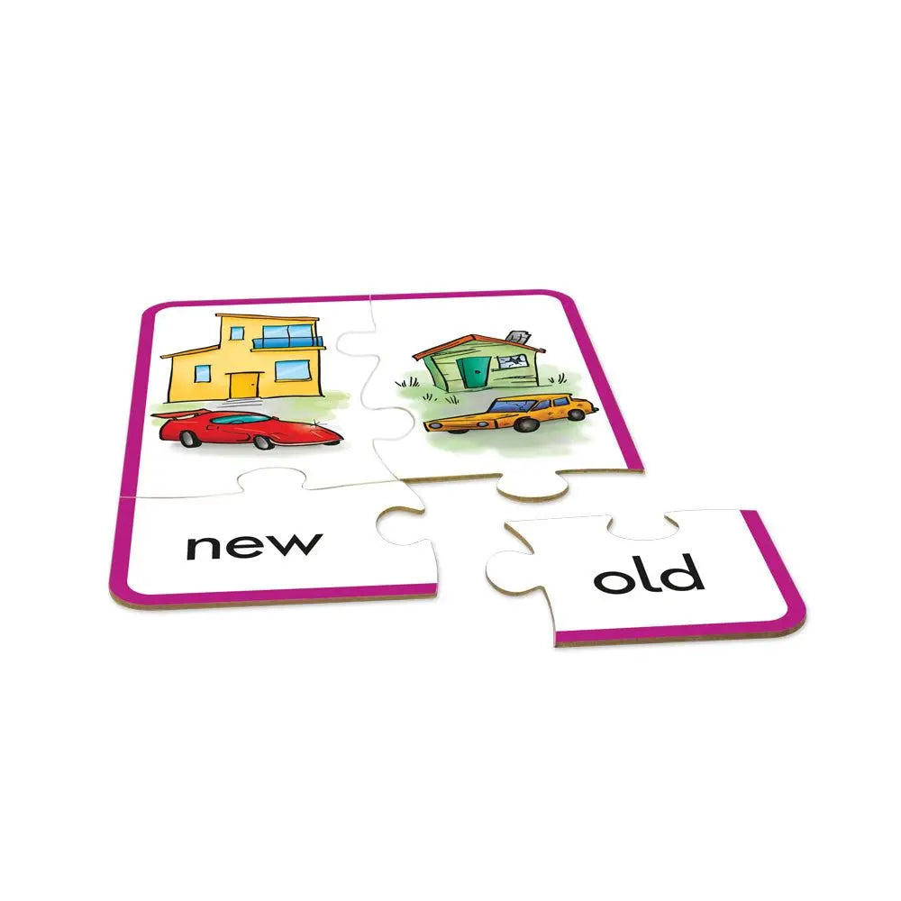 Antonym Puzzles | The Dyslexia Shop