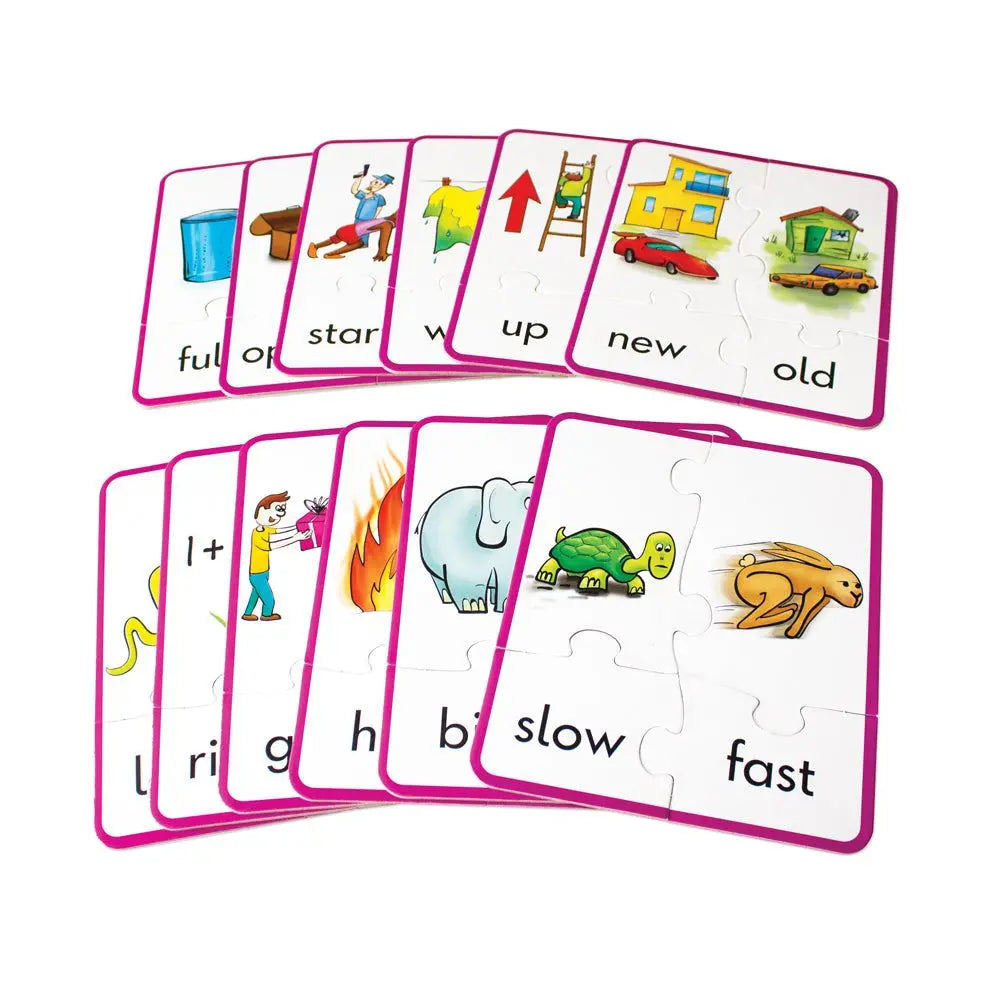 Antonym Puzzles | The Dyslexia Shop