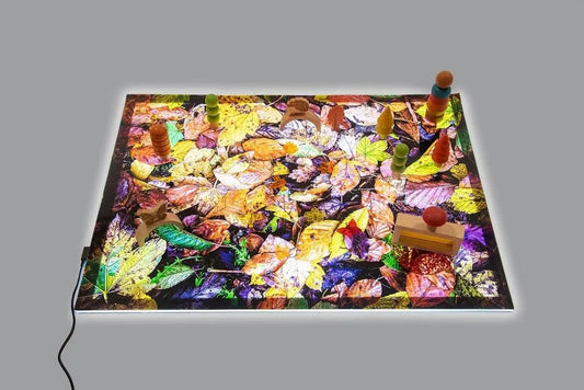 Autumn leaves a2 play mat & a2 light panel | The Dyslexia Shop
