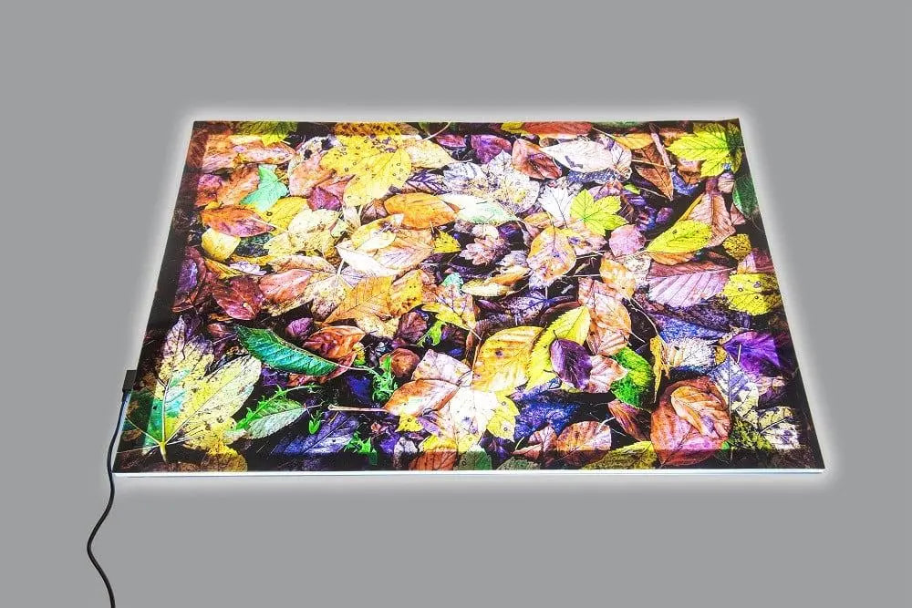 Autumn leaves a2 play mat & a2 light panel | The Dyslexia Shop